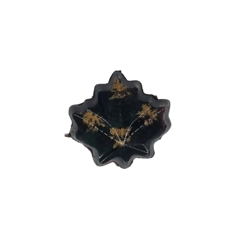 Pistachio Cream & Lemon Curd Chocolate